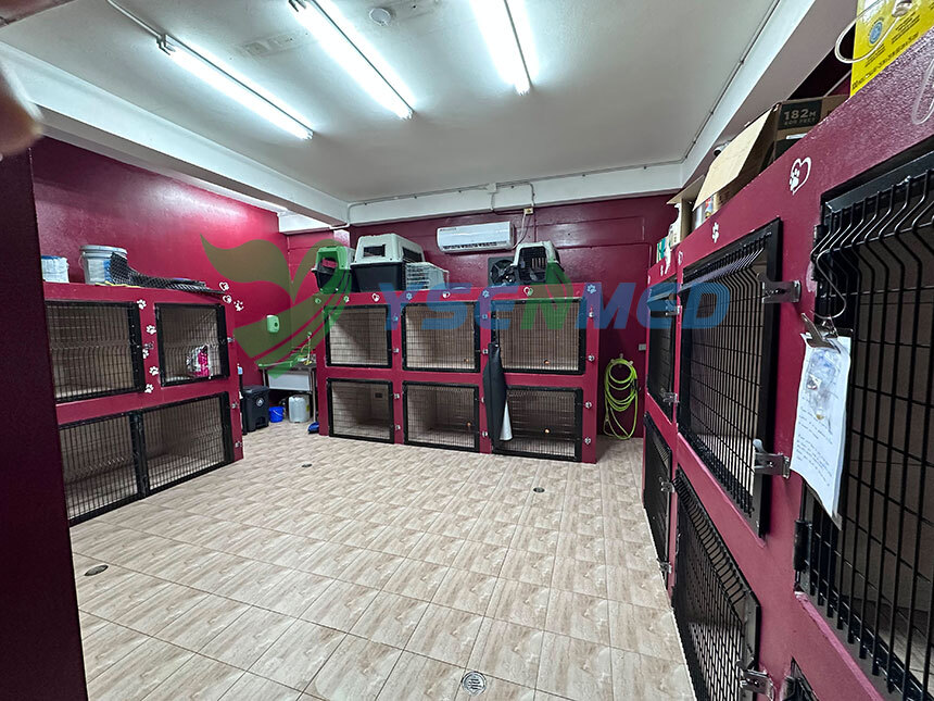 Customer Success Story from Trinidad and Tobago: Veterinary Equipment Trusted Since 2023