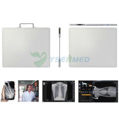 DR system wired flat panel detector vet human YSFPD3543Z