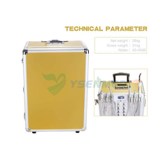 Portable Dental Unit YSDEN-331