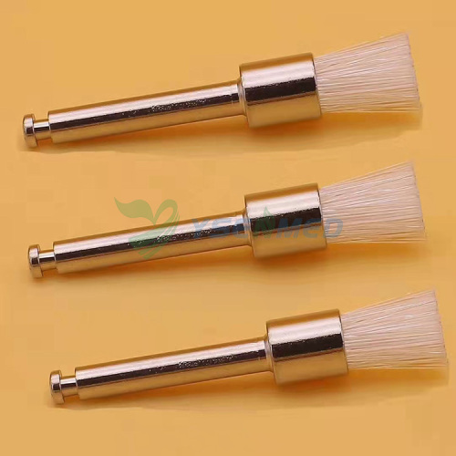 Cepillo profiláctico dental de diferentes formas de colores dentales YSDEN-PB330