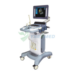 Carro de bajo precio Color Doppler 3D 4D Máquina de ultrasonido YSB-K12