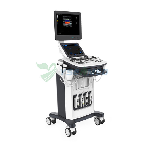 Hot Sales Trolley Color Doppler 3D 4D Máquina de ultrasonido Precio YSB-Q3
