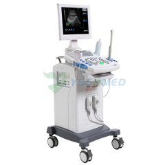 Mobile Trolley B/W Ultrasound Scanner With Low Price YSB9618CII