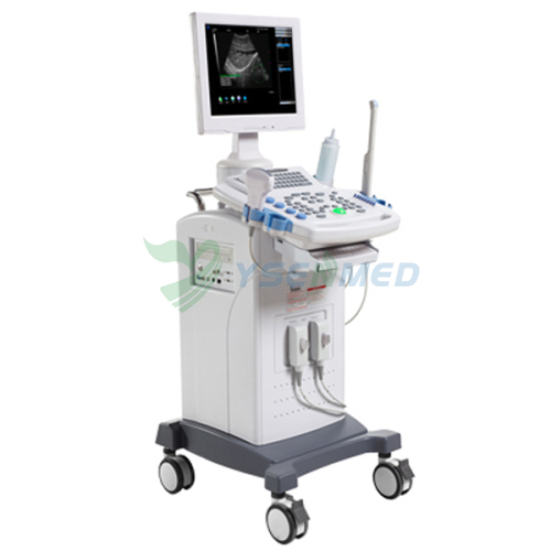 Mobile Trolley B/W Ultrasound Scanner With Low Price YSB9618CII