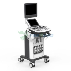 Hot Sales Trolley Color Doppler 3D 4D Máquina de ultrasonido Precio YSB-Q3
