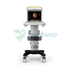 Máquina portátil de ultrasonido Doppler color 4D CHISION Q5