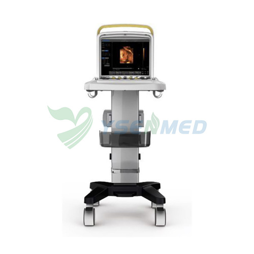 Máquina portátil de ultrasonido Doppler color 4D CHISION Q5