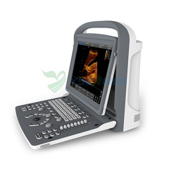 Échographe N/B portable CHISON ECO2