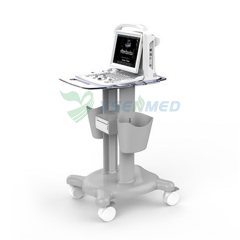 Portable B/W ultrasound scanner CHISON ECO3 EXPERT