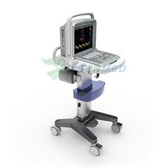 Portable 4D Color Doppler Ultrasound Machine CHISION Q9