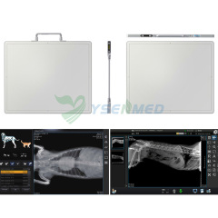 DR system wired flat panel detector vet human YSFPD3543Z