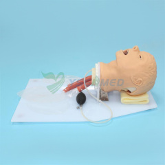 Entrenamiento de intubación traqueal Modelo BIX-J50