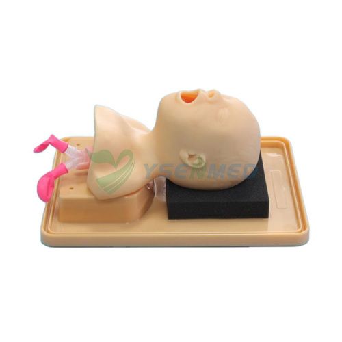 Cabeza de neonato para intubación traqueal modelo BIX-J2A