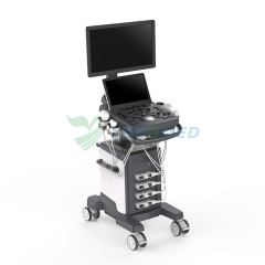 Sistema de diagnóstico ultrasónico Doppler a color completamente digital YSB-VIV20