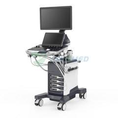Sistema de diagnóstico ultrasónico Doppler a color completamente digital YSB-VIV60