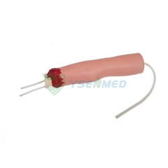 Upper amputated limbs trauma hemostasis model YSBIX-H2008