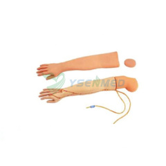Inyección de venopunción de brazo completamente funcional modelo YSBIX-HS3