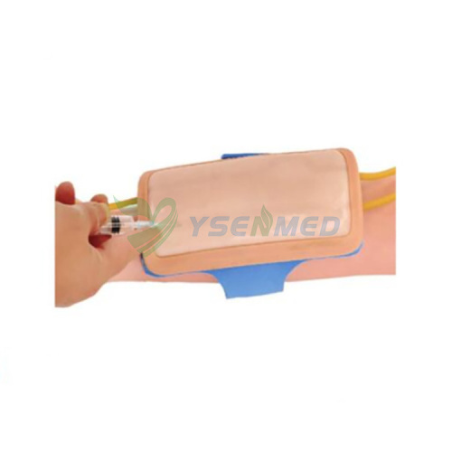 Modelo de entrenamiento para punción venosa del antebrazo YSBIX-HS14
