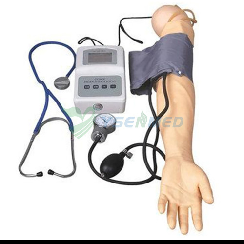 Advanced Blood Pressure Simulator(nursing model) YSBIX-HS7