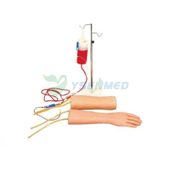 Simulador combinado de transfusión intravenosa de mano y codo YSBIX-HS18
