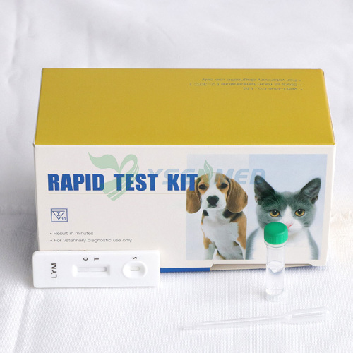 Bandelettes de test rapide vétérinaire YSENMED LYM Ab Test d'anticorps contre la maladie de Lyme canine