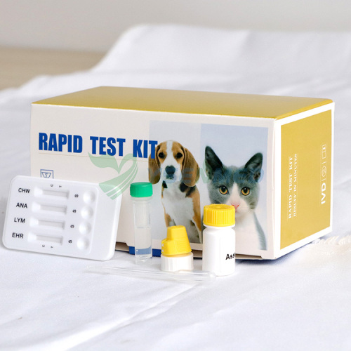 Tiras de prueba rápida veterinaria YSENMED EHR LYM ANA CHW Ehrlichia Lyme Anaplasma Heartworm Combo Test