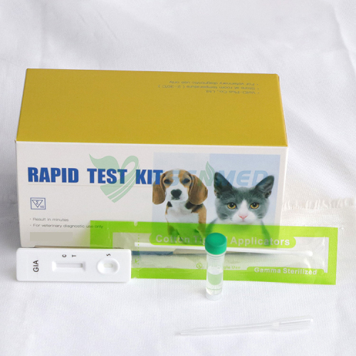 Bandelettes de test rapide vétérinaires YSENMED LSH Ab Leishmania canis Test rapide d'anticorps