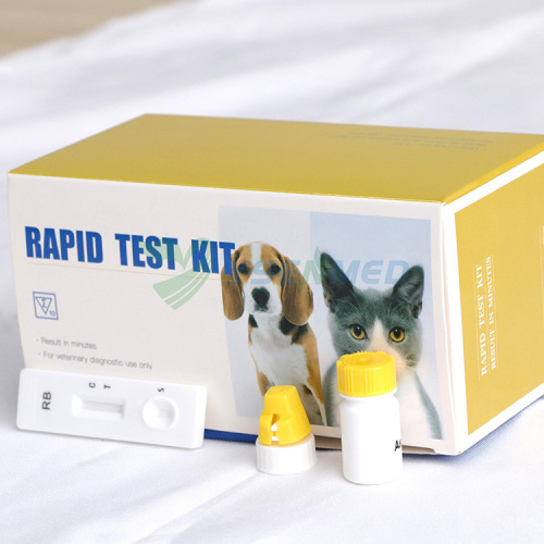 Bandelettes de test rapide vétérinaires YSENMED Test rapide d'anticorps contre le virus de la rage RB Ab