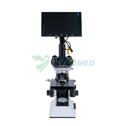 Lab Biological Microscope with Large Display