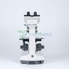 Microscopio binocular biológico YSXWJ107BN