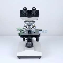 Microscopio binocular biológico YSXWJ107BN