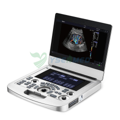 Edan Acclarix AX2 Portable Color Doppler Ultrasound Machine