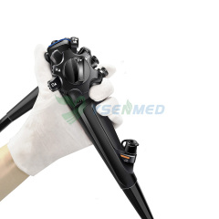 Video Gastroscope And Video Colonoscope YSAQ-100