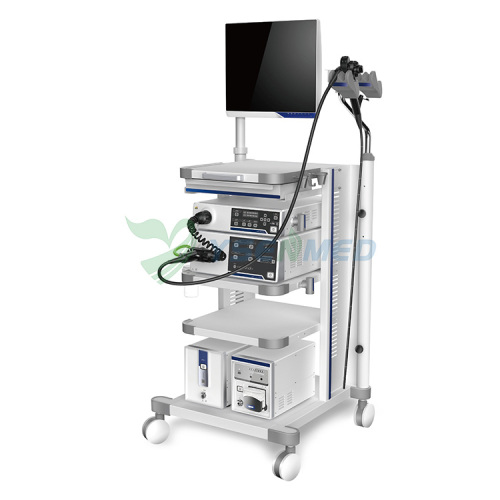 Video Gastroscope And Video Colonoscope YSAQ-100