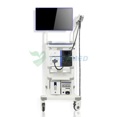 Endoscope Imaging System YSAQ-200