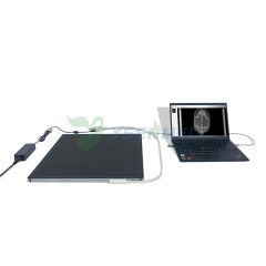 Appareil à rayons X vétérinaire numérique 5kW Unité de radiographie vétérinaire stationnaire 100mA YSX050-B