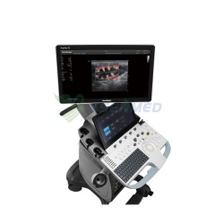 Veterinary Use Sonoscape Clolor Doppler Ultrasound System ProPet70