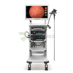 SonoScape HD-550 Medical HD Video Endoscope System