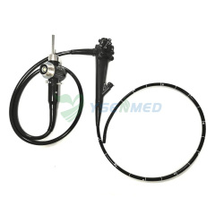 YSENMED YSVME-300 video endoscope system with video Gastroscope video Colonoscope video bronchoscopy video Duodenoscope video Choledochoscope