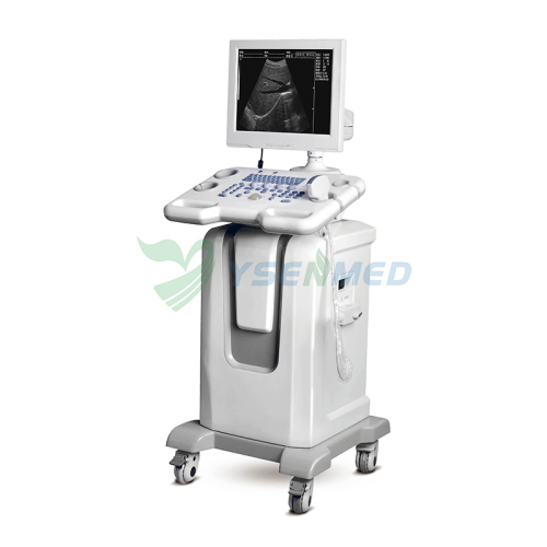 YSB850 Medical B/W Ultrasoud Scanner Machine