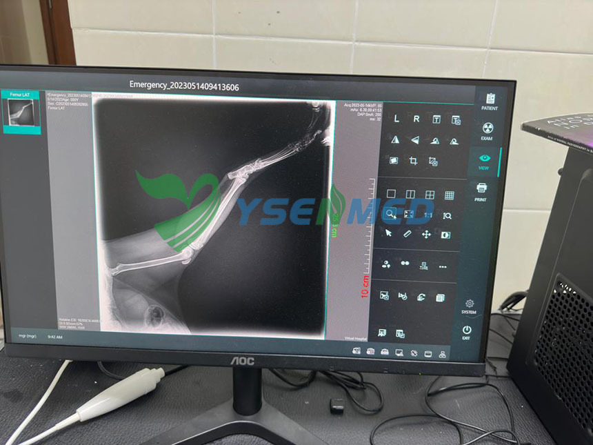 YSENMED YSDR-VET200 20kW Sistema de Rayos X Veterinario