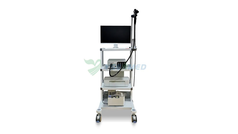 Videoendoscopio veterinario Ysenmed YSNJ-100VET.