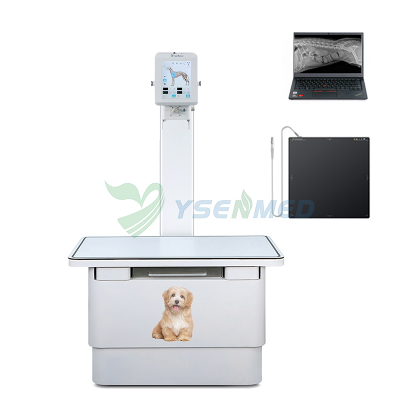 Máquina de rayos X digital veterinaria de 5.6kW YSX056-PL