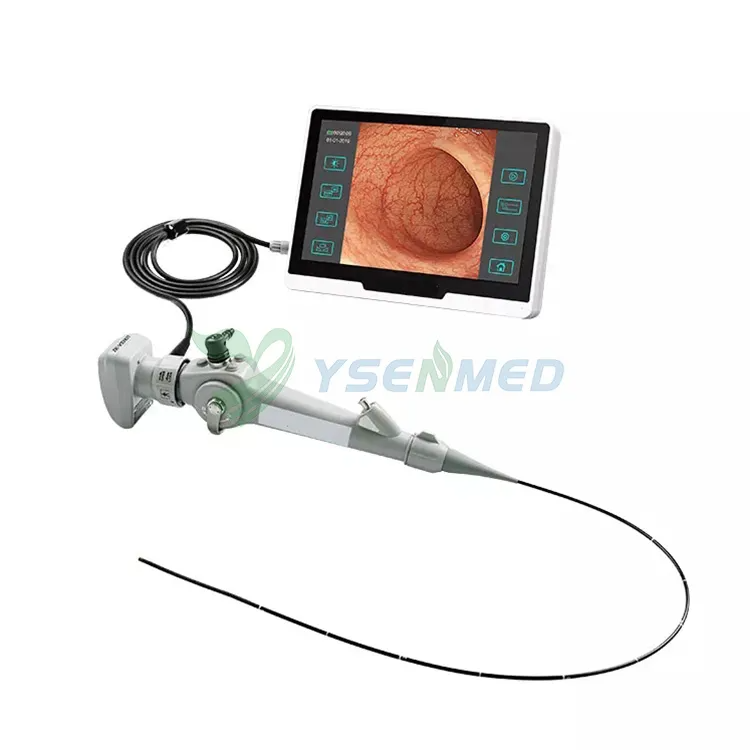 YSVET-EC120 610 mm con videoendoscopio veterinario portátil con pantalla táctil de 10,1 pulgadas