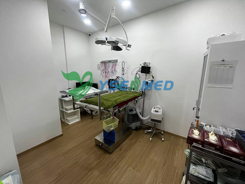 Equipo veterinario YSENMED instalado en un hospital de mascotas en Singapur