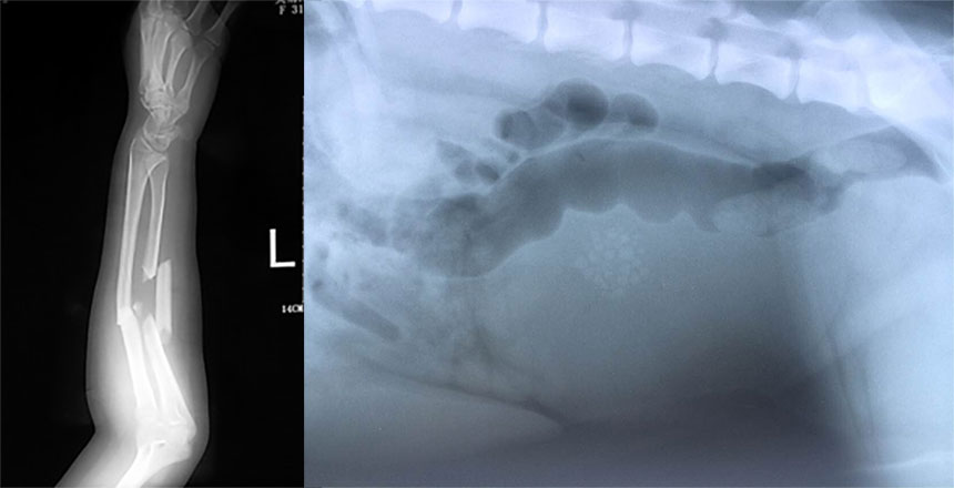 Recommended selection of the latest ysenmed X-ray machine in 2023