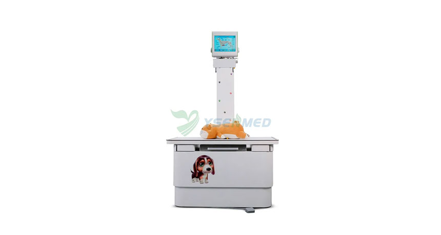 Installation video of YSENMED 5kW veterinary x-ray machine YSX050-B