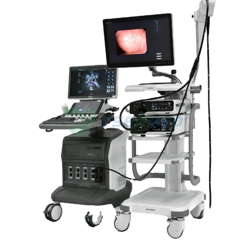 Echoendoscope linéaire Sonoscape EG-UR5