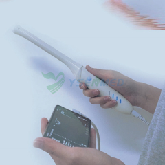 YSB-C10RQ Gynecological Probe