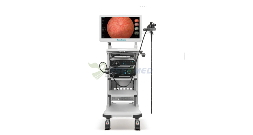 What are the basic components and principles of the endoscopic camera system?